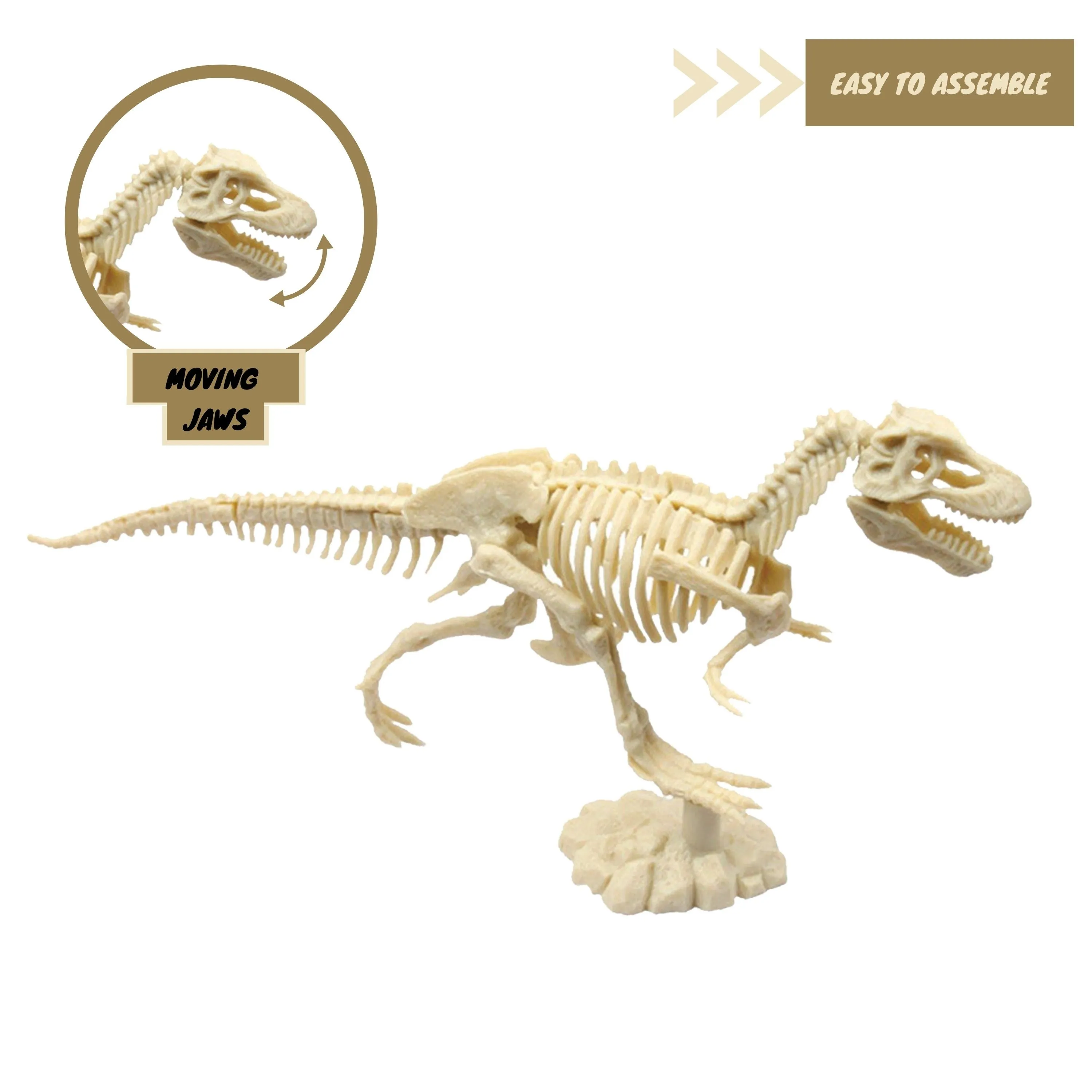 2-in-1 Fossil Excavation Kit